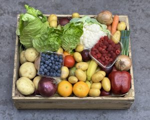 Seasonal Box – Medium