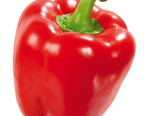 Pepper Red
