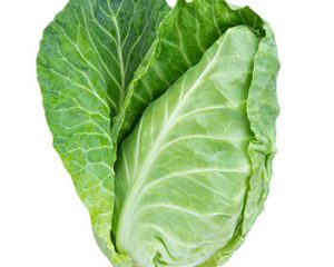 Hispi Cabbage