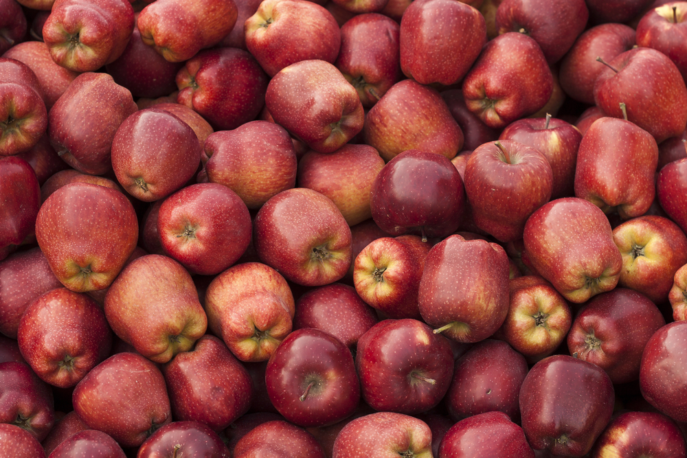 Apple Braeburn The Fruit Basket Shop