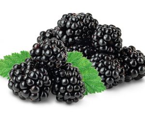 Blackberry Punnet
