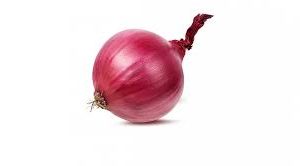 Onion Red