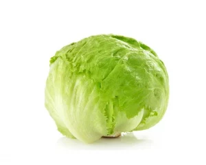 Lettuce Iceberg