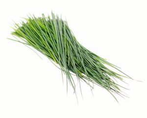 Fresh Chive 25g