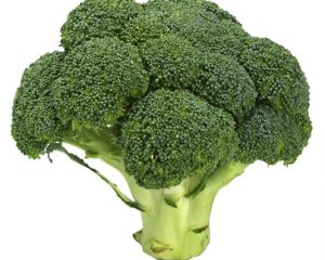 Stem of Broccoli