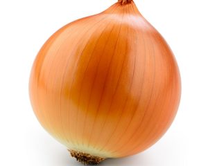 Large Spanish Onion