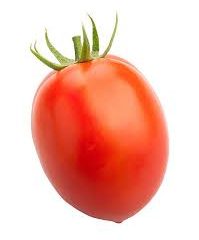 Plum Tomato