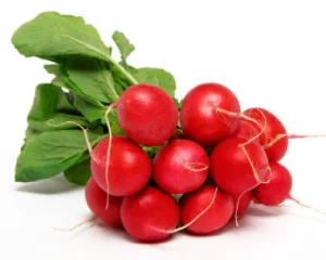 Bunch Radish