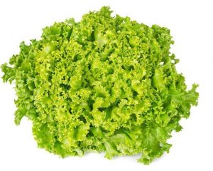 Lollo Bionda Lettuce