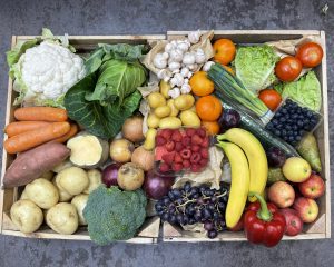 Seasonal Box – Large