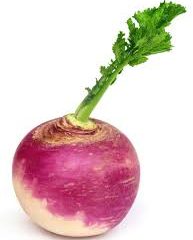 Turnip