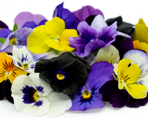 Viola Edible Flowers 15g