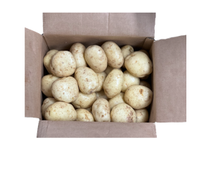 Large Jacket Potato Box