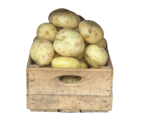 25kg Dirty Sagitta Potato